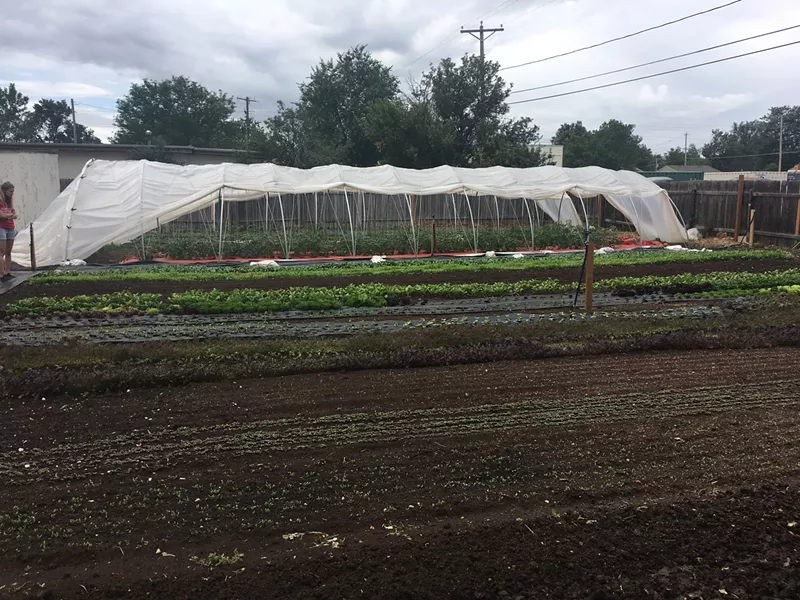 Image: Hoop houses and rows at City Yard Farms, one of the city's smallest farms.