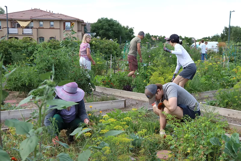 Image: people planting