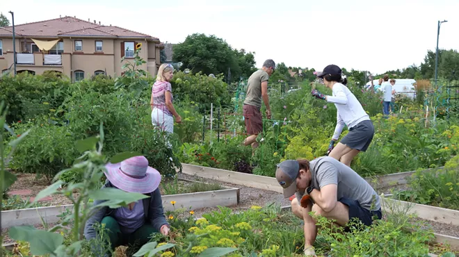 people planting