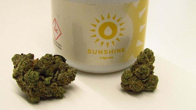 Dark-green cannabis buds from Sunshine Farms in Colorado