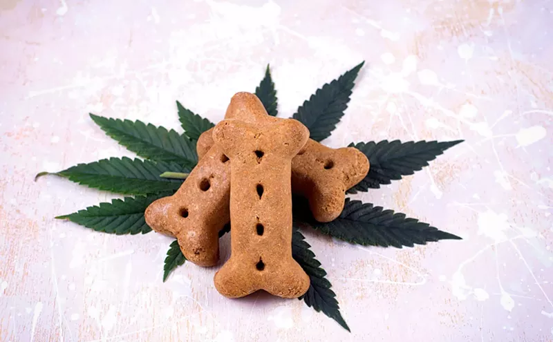 Image: Pot for Pets: Veterinarians, Owners Endorsing MMJ Treatments