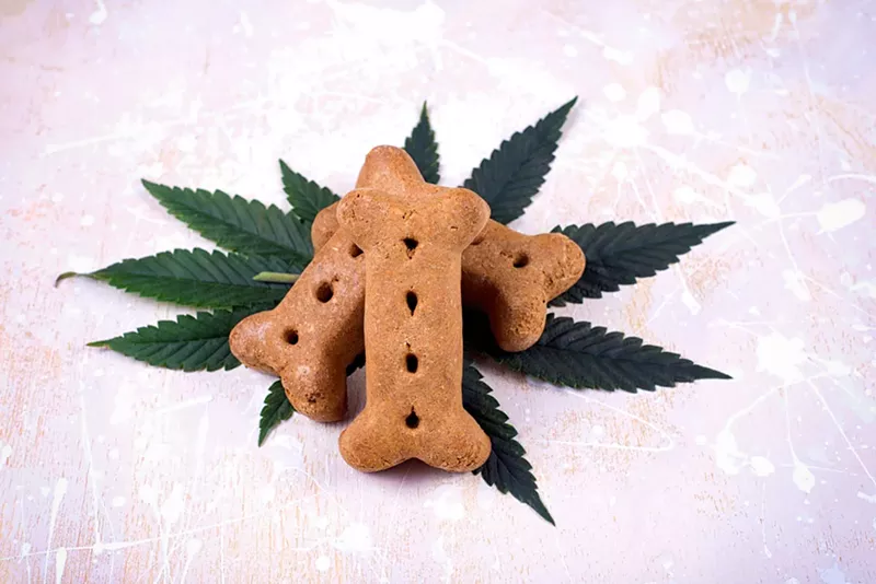 Image: Giving your dog marijuana is more than just blowing smoke in its face nowadays.