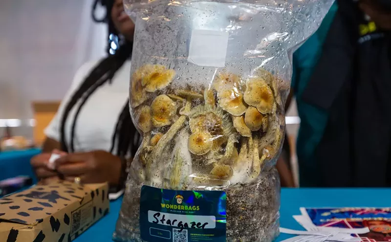 Image: Psilocybin Legislation Is Helping Psychedelic Drugs Make a Comeback. Here Are the Challenges They Face