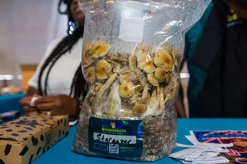 Image: Psilocybin mushroom grow bag, Wonderbags