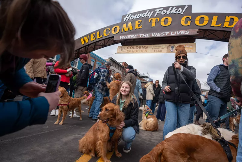 Image: dogs and their owners under golden sign