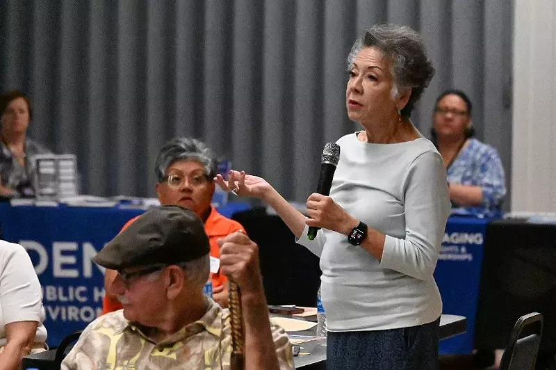 Image: woman talking into mike at meeting