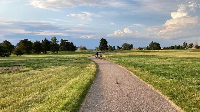 A wide rocky path between rows of long, green grass.