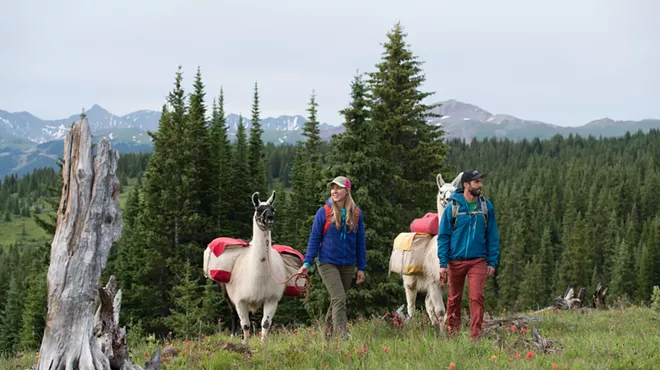 Two hikers on a trail with Paragon Guides' llamas