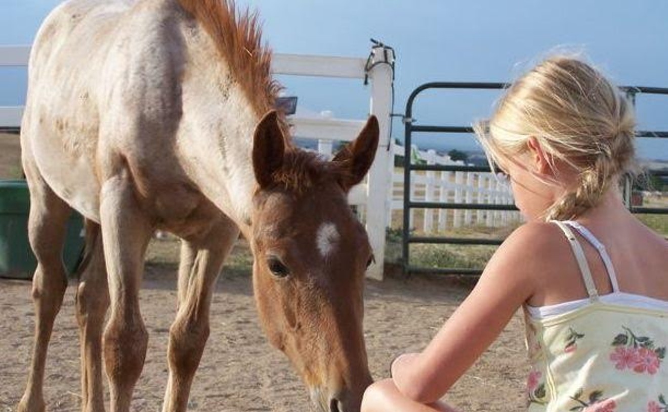 Rock the Ranch Raises Money for Rescued Therapy Horses