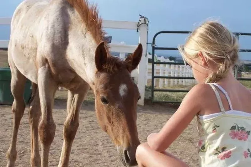 Image: Rock the Ranch will raise money for Zuma's Rescue Ranch in Littleton.
