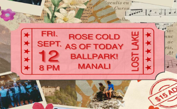 Image: Rose Cold