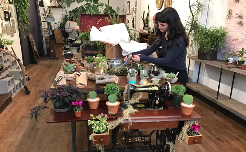 Image: Rosehouse on South Broadway Offers Weird Plants for Real-Life Harry Potters