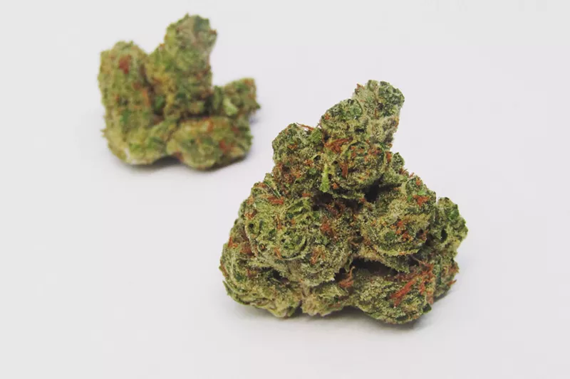 Image: Solventless hash is one of the fastest-growing product niches at dispensaries, but it all starts with the right buds.