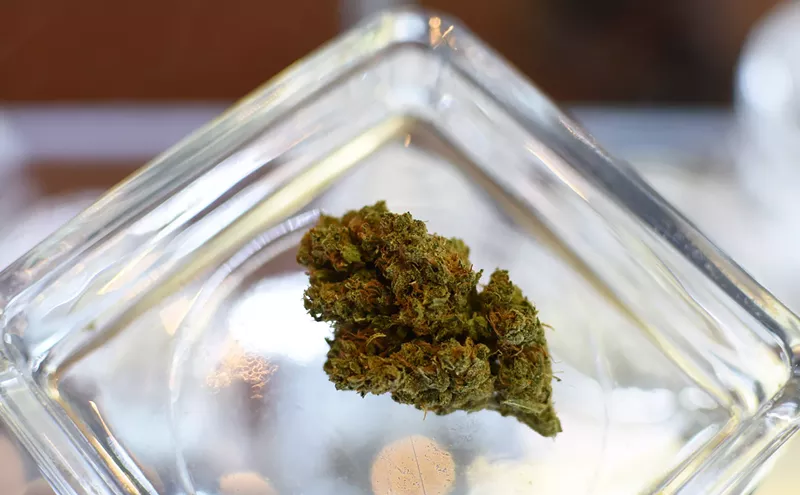 Image: Seven New or Rare Strains Around Denver Worth Trying