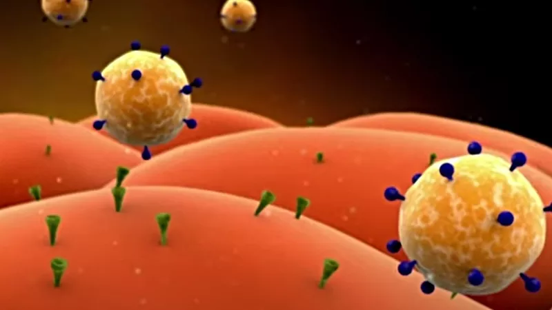 Image: A screen capture from animation depicting the B.1.1.7 variant.