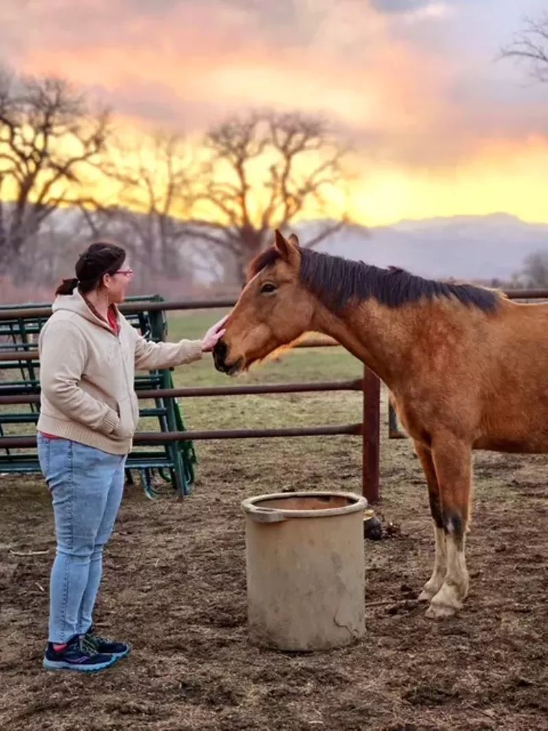 Image: A person pets a horse