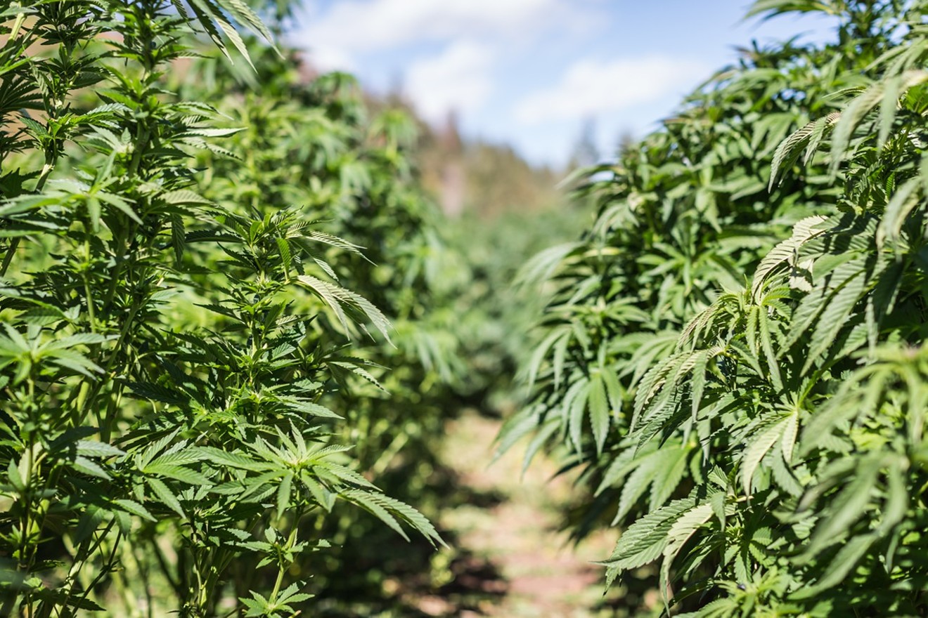 A combined $75 million has been committed to three different pot operations in southern Colorado since May.