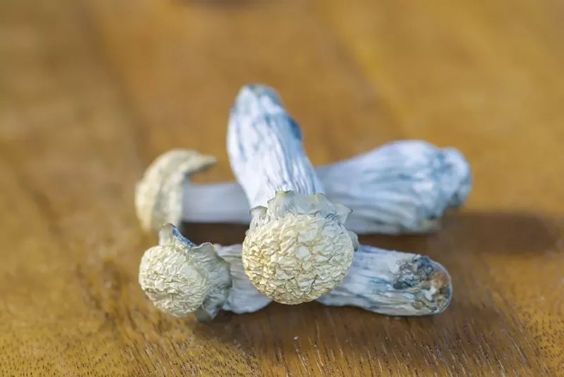 Image: A bill surrounding magic mushroom cultivation and consumption moved quickly through the state Senate.