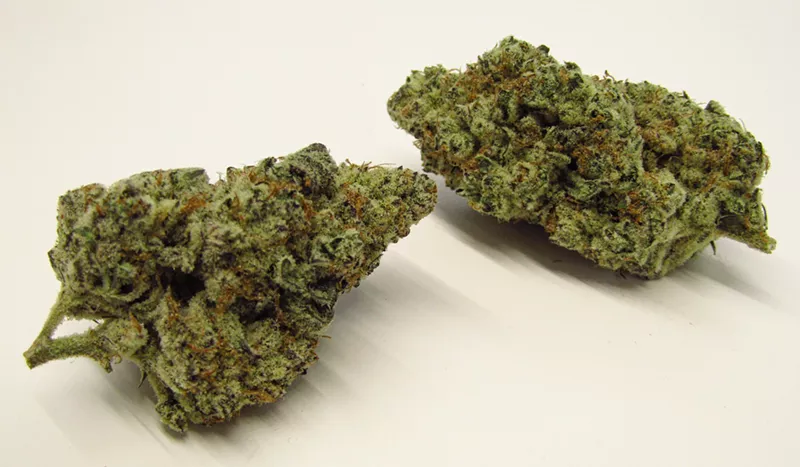 Image: Dante's Inferno is a potent and popular cannabis strain in 2023.