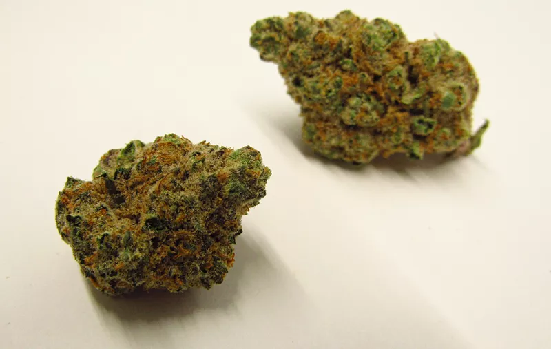 Image: Point Break marijuana strain