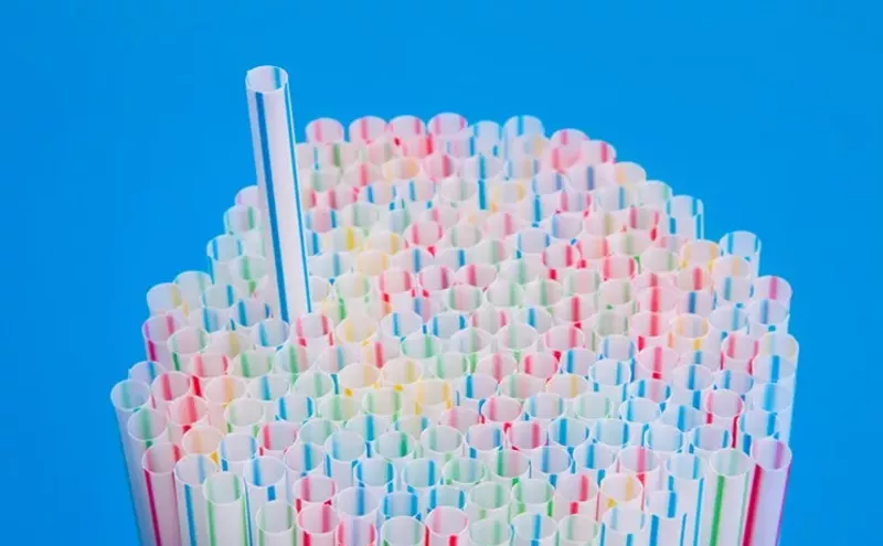 Image: Taking the No-Plastic Challenge