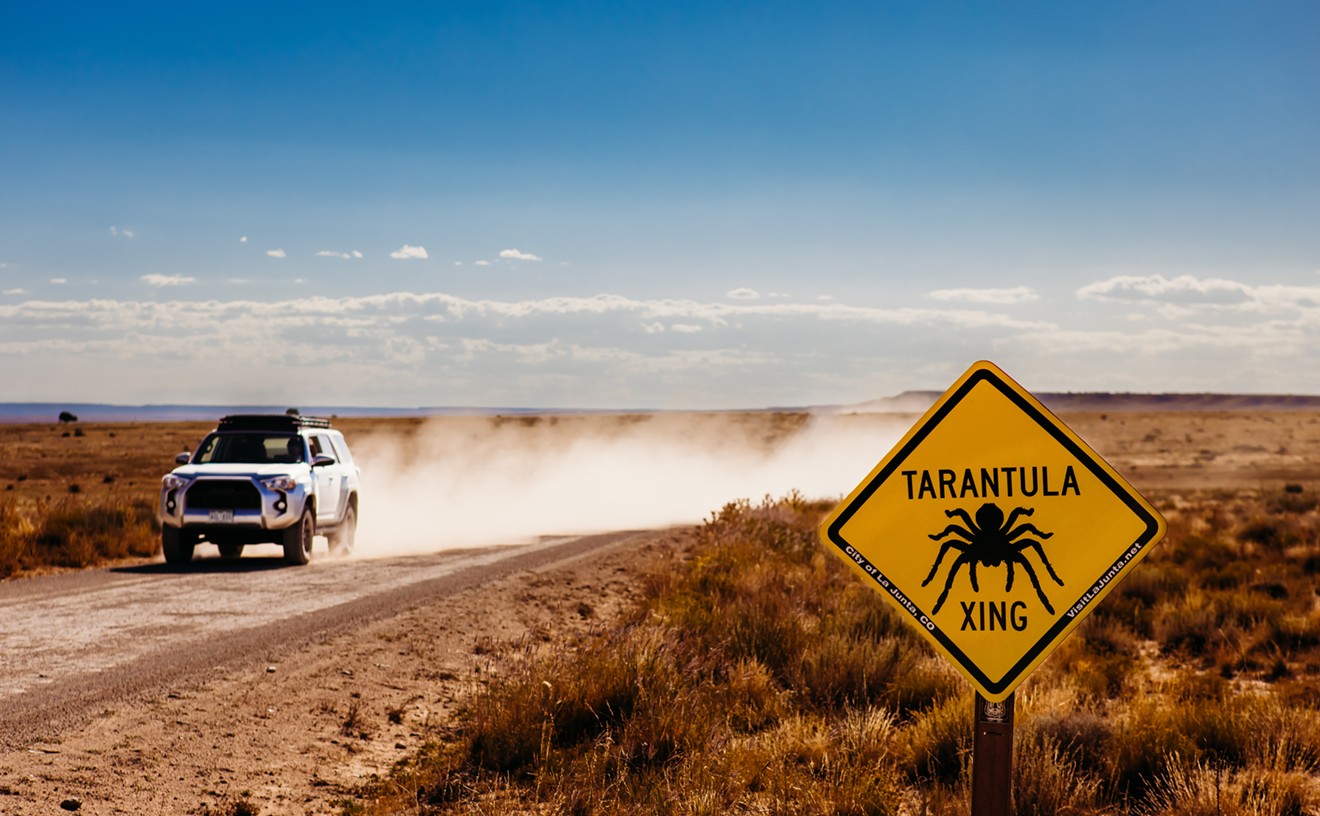 Tarantula Tourism Has Put La Junta on the Map