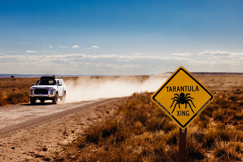 Drive dirt roads through the nearby Comanche National Grassland, home to countless tarantulas.