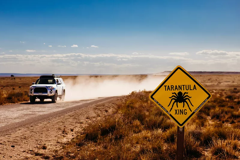 Image: A Toyota 4Runner driving down a dirt road in La Junta, marked by a "tarantula crossing" sign