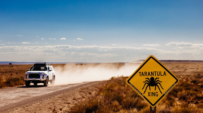 A Toyota 4Runner driving down a dirt road in La Junta, marked by a "tarantula crossing" sign