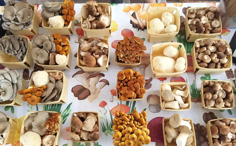 Image: Ten Great Denver and Boulder Farmers' Market Finds