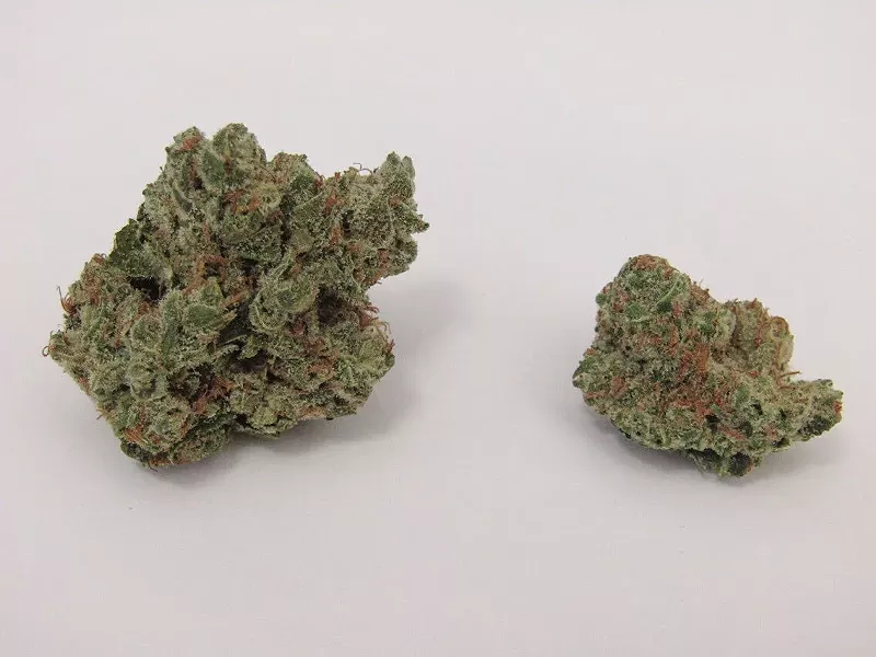 Image: Every strain has a purpose, but some are more popular than others.