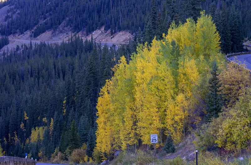 Image: Guanella Pass