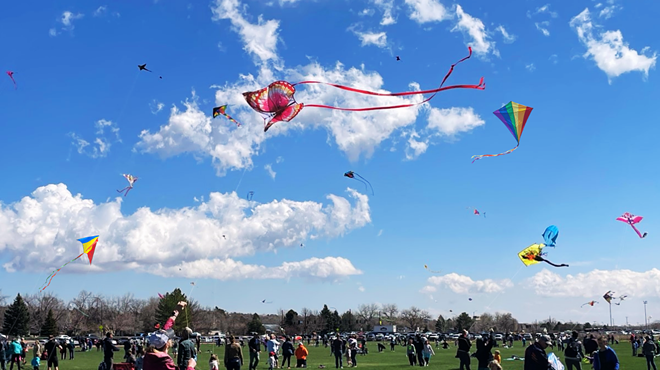 kites flying in blue sky above field