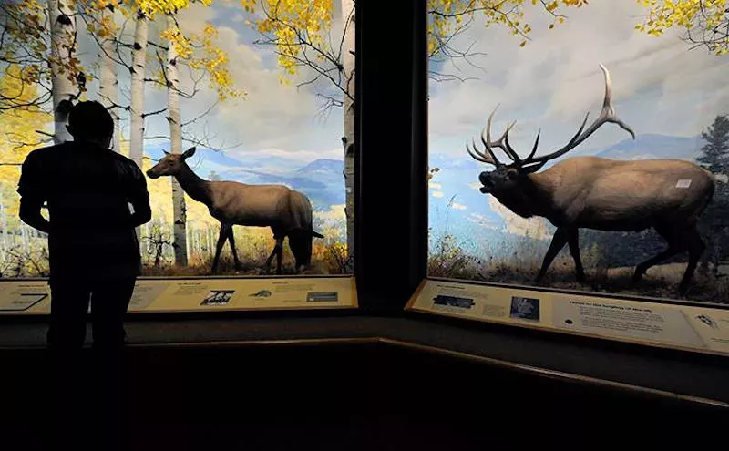 Image: Ten Things to Do in Denver for $10 and Under (Four Free)