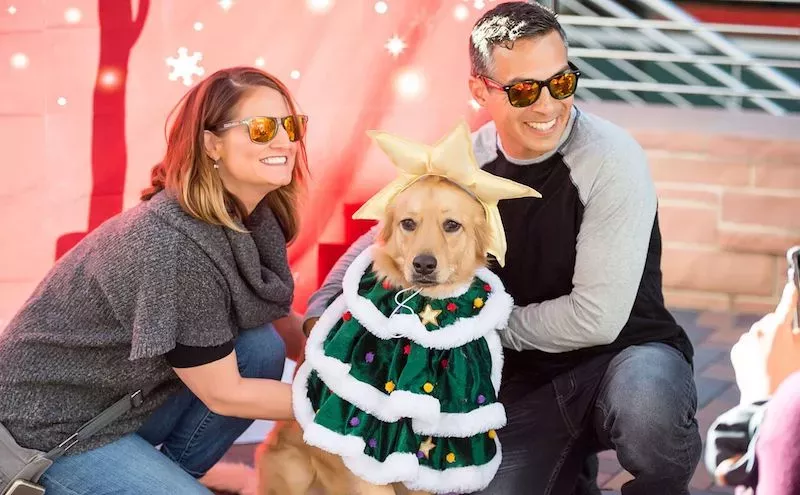 Image: Ten Things to Do in Denver for $10 and Under This Weekend (Five Free)