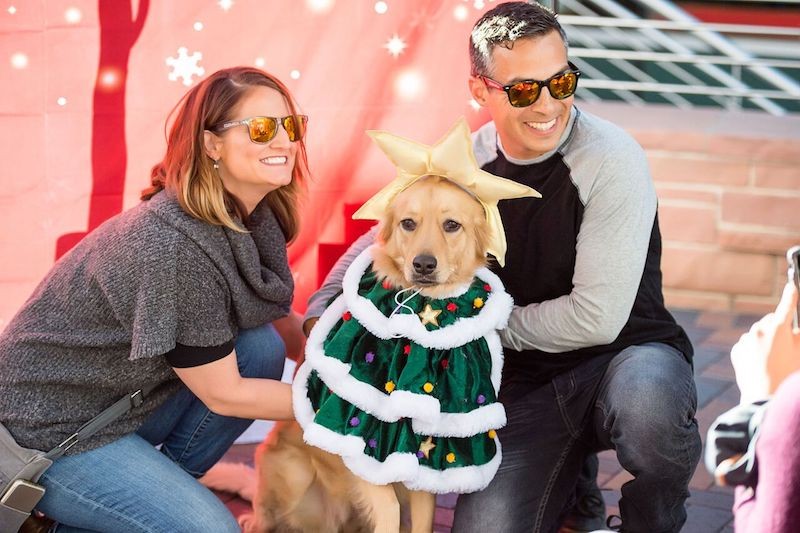 Get festive (and furry) when the Cherry Creek North Winter Fest returns on Saturday, December 8.