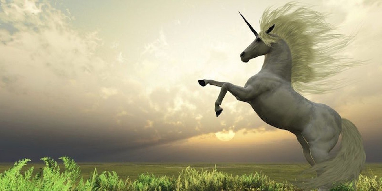 The Colorado Unicorn Festival gallops into Clement Park this weekend.