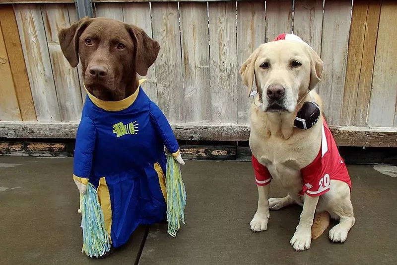 Image: We have a party for the dogs this weekend.