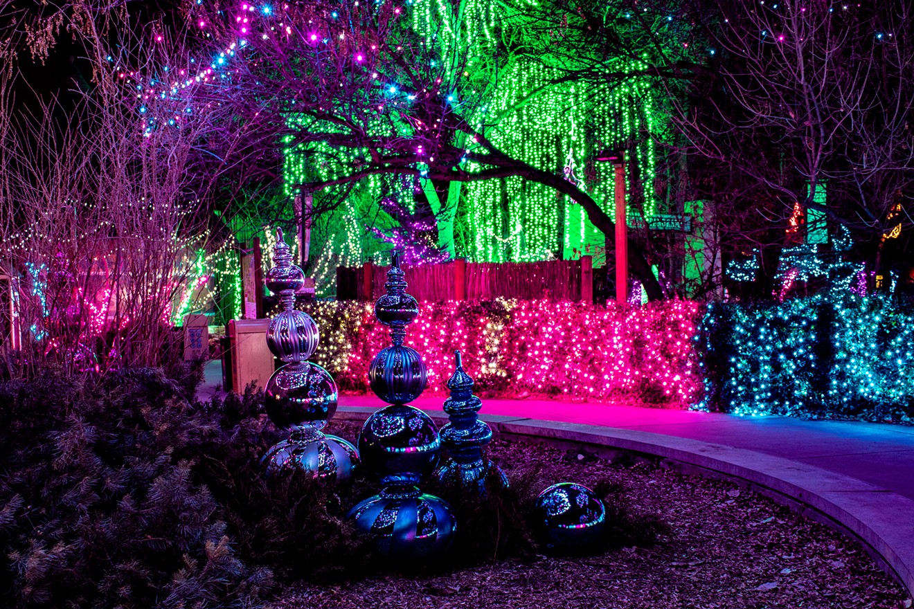 Head to the Denver Zoo for an illuminating holiday fete.
