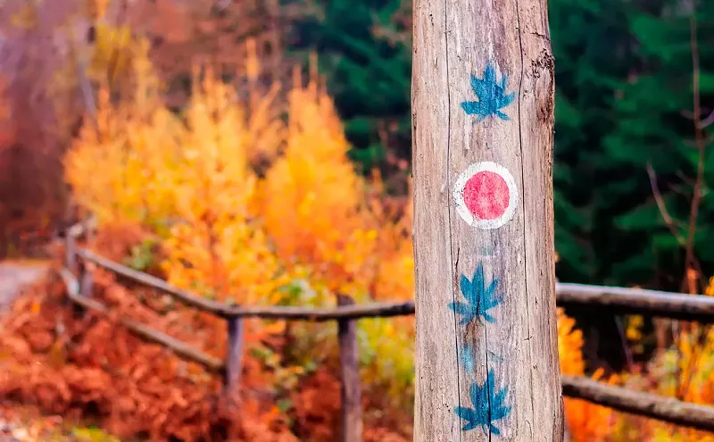 Image: Ten Ways to Enhance Your Hike With Cannabis