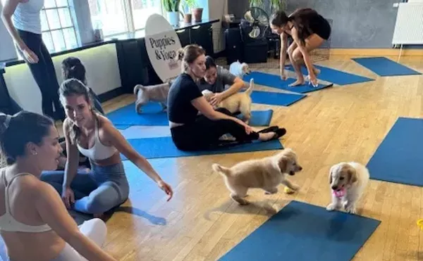Image: Ten Wildest Yoga Classes in Denver: Kangaroos, Nudity, Puppies and More