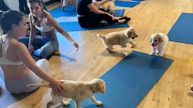 People do yoga while puppies walk around