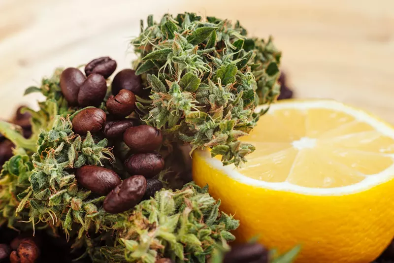 Image: You can thank terpenes for that lemony-fresh scent in your house, or the relaxing smell of a coffee shop.