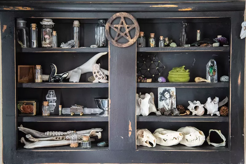 Image: Morbid Curiosities, a chilling show for a hot week.
