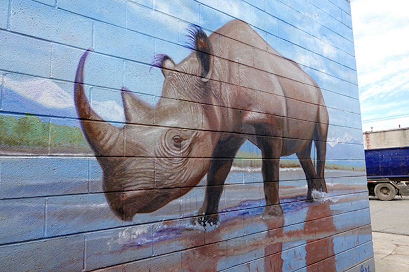 RiNo gets a new park on April 15, and will celebrate Rhino Week  starting with a neighborhood cleanup April 221.