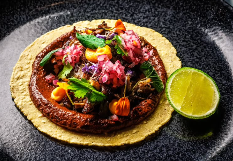 Image: a duck taco with mole