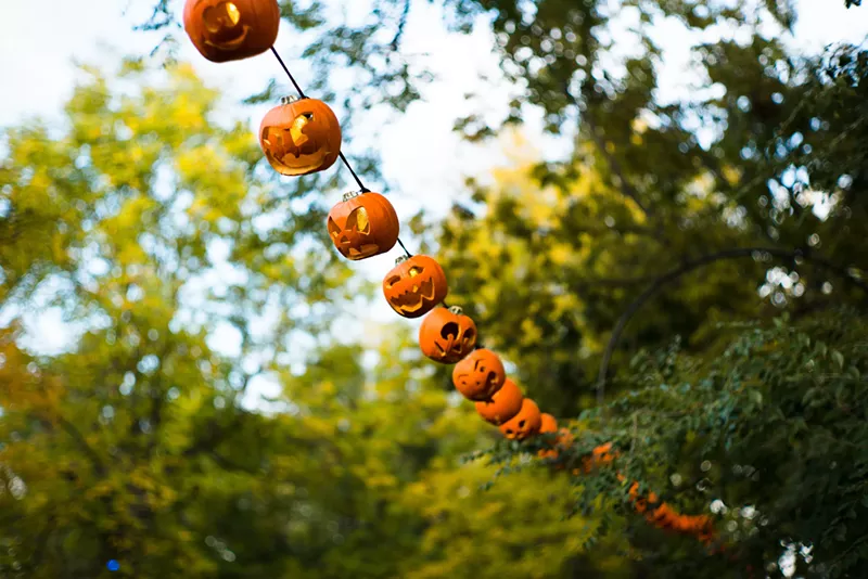 Image: Spooky decorations at the zoo.