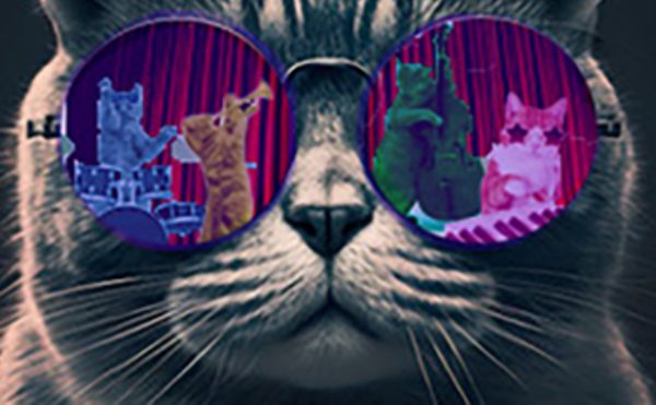 Image: The Cat's Glasses
