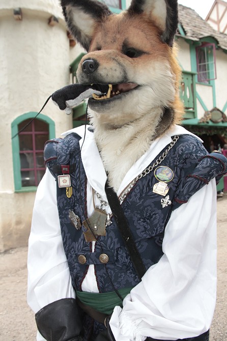 are dogs allowed at the colorado renaissance festival