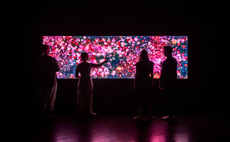 Image: The DAM’s Stunning New Show Will Make You Want to Hug the Nearest Tree